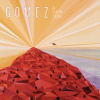 Lost Track - Gomez