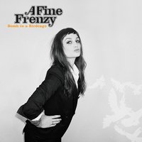 Elements - A Fine Frenzy