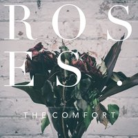 Roses - The Comfort