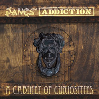 Been Caught Stealing - Jane's Addiction, Perry Farrell