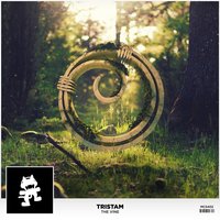 The Vine - Tristam