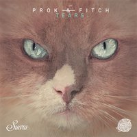 Tears - Prok, Fitch