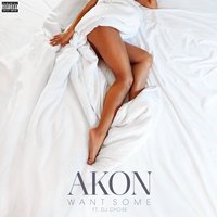 Want Some - Akon, DJ Chose