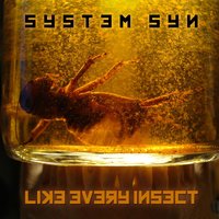 Like Every Insect - System Syn