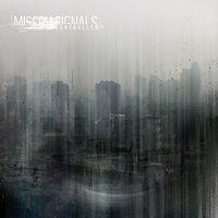 Set In Motion - Misery Signals