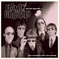 Paint It Black - Flamin' Groovies