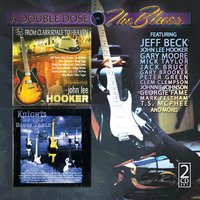 Red House - John Lee Hooker, Booker T. Jones, Randy California