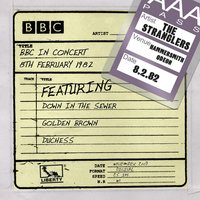 Duchess (BBC In Concert 08/02/82) - The Stranglers