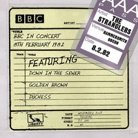 How To Find True Love And Happiness In The Present Day (BBC In Concert 08/02/82) - The Stranglers