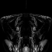 Devil Devil - MILCK
