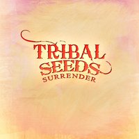 Surrender - Tribal Seeds