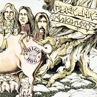 Happy Hooker - Black Oak Arkansas