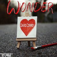 Wonder - David Correy