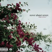 California - Never Shout Never