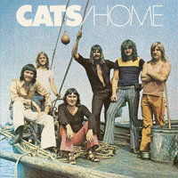 The Water Will Be Deep - The Cats