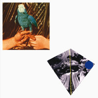 Chemical Switches - Andrew Bird