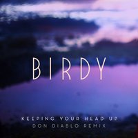 Keeping Your Head Up - Birdy, Don Diablo
