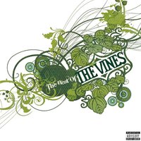 Vision Valley - The Vines