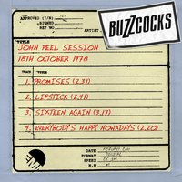 Sixteen Again (John Peel Show 23/10/78) - Buzzcocks