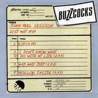 I Don't Know What To Do With My Life (John Peel Show 28/5/79) - Buzzcocks