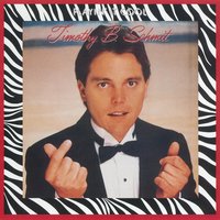 Voices - Timothy B. Schmit