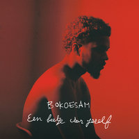 1 Ontbijt - Bokoesam