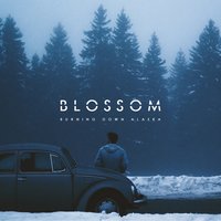 Blossom - Burning Down Alaska