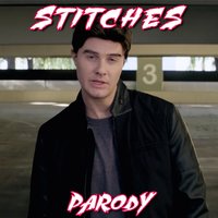Stitches Parody - Bart Baker
