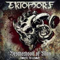 Brotherhood of Man - Ektomorf