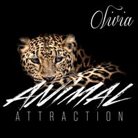 Animal Attraction - Olivia