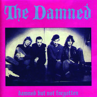 Nice Cup Of Tea - The Damned