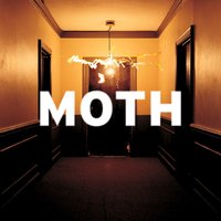 Leftovers - Moth