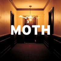 Last Night's Dream - Moth