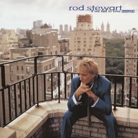 If We Fall in Love Tonight - Rod Stewart