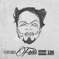 Facts - Stitches