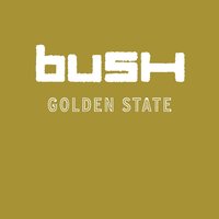 Solutions - Bush