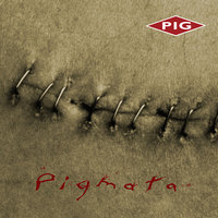 On the Slaughterfront - Pig