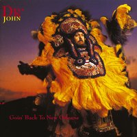 How Come My Dog Don't Bark (When You Come Around) - Dr. John