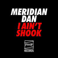 I Ain't Shook - Meridian Dan
