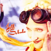 Now That I Don't Have You - Jill Sobule