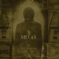 Day The Music Died - MD.45