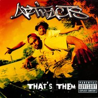 Who's This ? - Artifacts