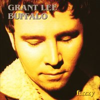 You Just Have To Be Crazy - Grant Lee Buffalo