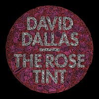 Ain't Perfect - David Dallas, Jordache