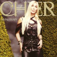 A Different Kind Of Love Song - Cher