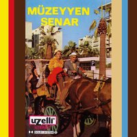 Pencereden Kar Geliyor - Müzeyyen Senar