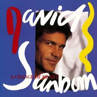 A Change of Heart - David Sanborn