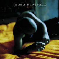 Fool of Me - Meshell Ndegeocello