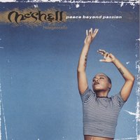 Who Is He and What Is He to You - Meshell Ndegeocello