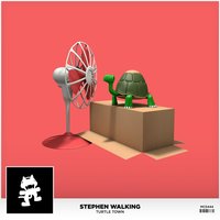 Turtle Town - Stephen Walking